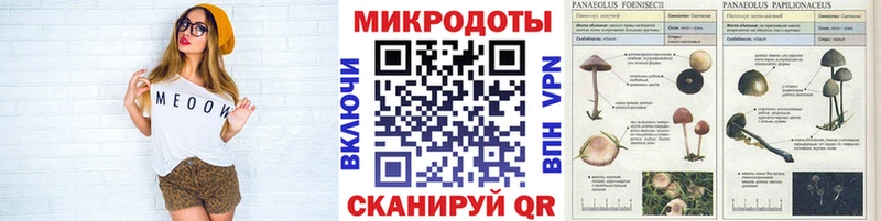 Псилоцибиновые грибы мицелий  Купить закладки  Анжеро-Судженск 